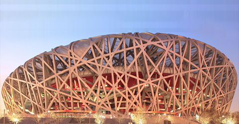 Bird's Nest
